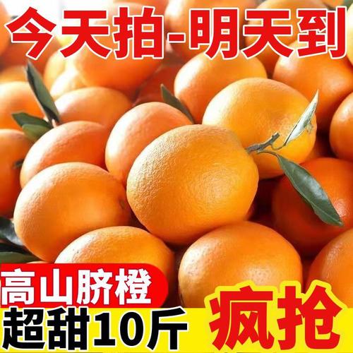 东莞水果市场厂家,品牌,图片,热帖