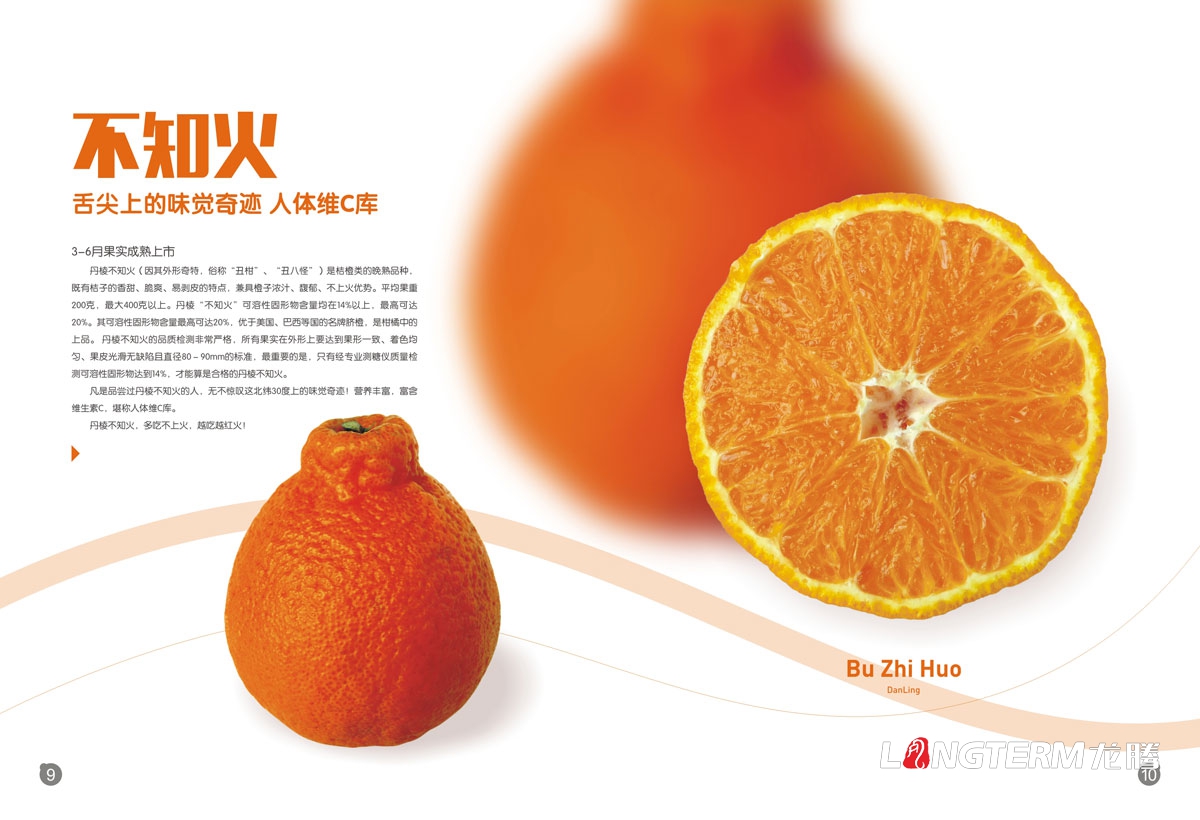 兴国兴谷农业企业形象宣传画册设计